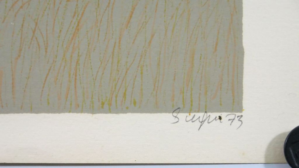 Antonio Segui: Kleurenlitho, Olifant bij bomen kopen? Bied vanaf 1!