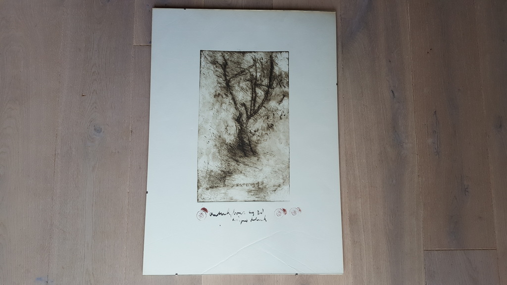 Anton Heyboer - Droge naald ets - gesigneerd en gulden afdrukken - 1978 kopen? Bied vanaf 145!