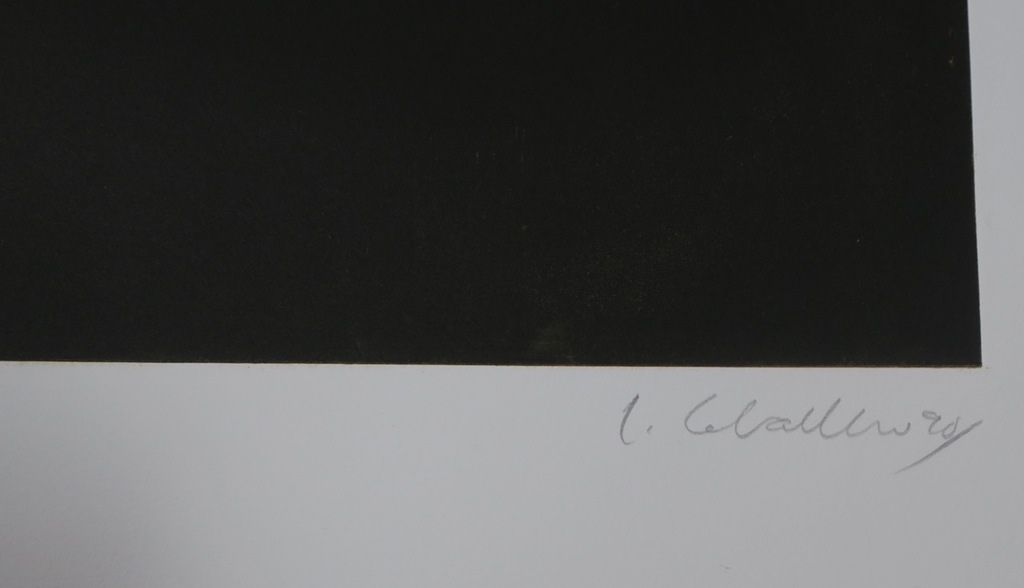 Luis Caballero: Ets en Aquatint, Zonder titel (Naakt) kopen? Bied vanaf 1!