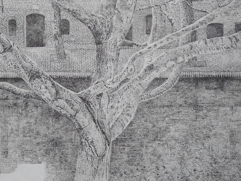 Charles Donker, Ets, Boom aan gracht  kopen? Bied vanaf 90!