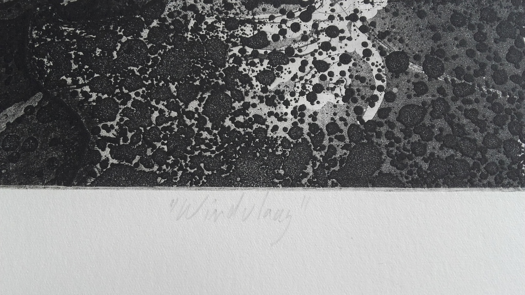 Jan Prins - Windvlaag - Gesigneerd 84 - Ets kopen? Bied vanaf 1!