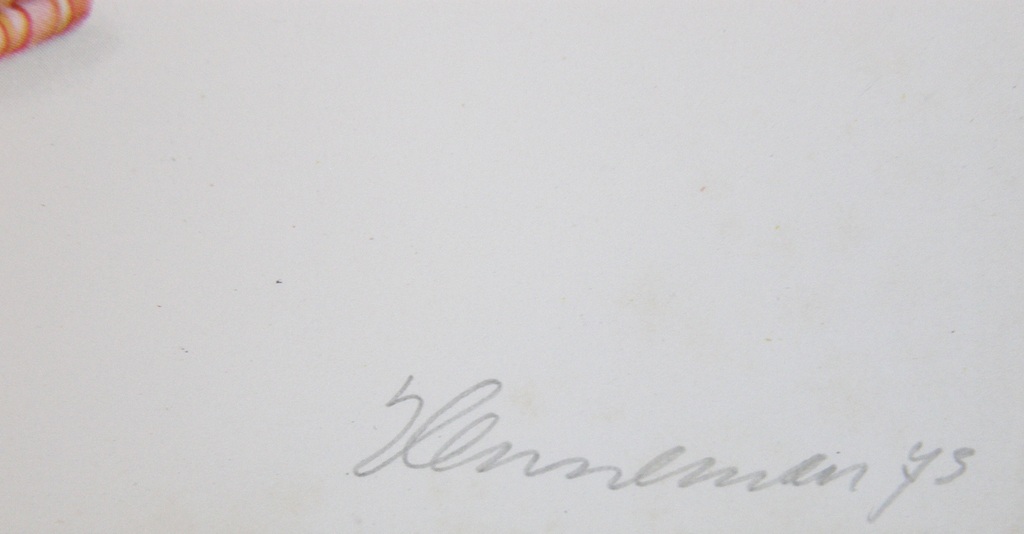 Jeroen Henneman: genummerd en met potlood gesigneerd kopen? Bied vanaf 65!