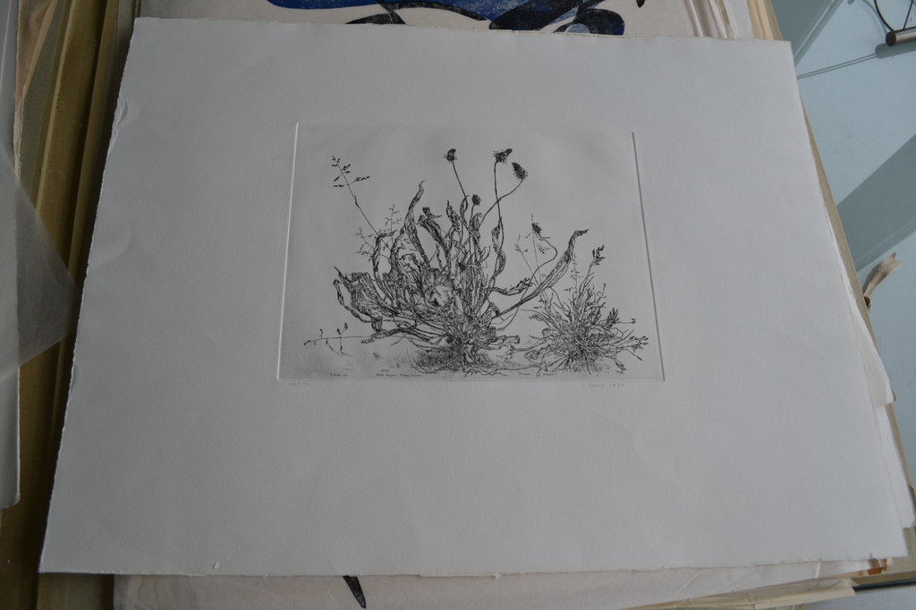 Simon Koene - Ets 1974 verkocht voor € 50!