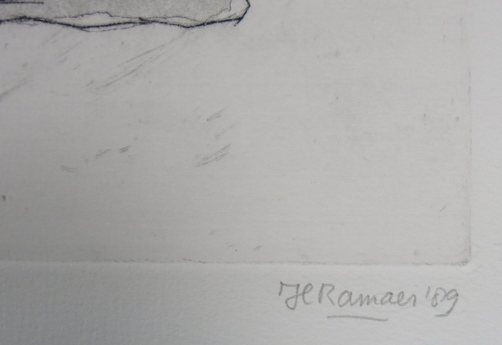 Hanny Ramaer: Droge naald, Komkommer kopen? Bied vanaf 1!