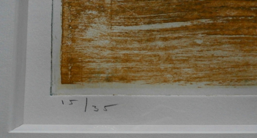 Jan Montyn - ingelijste ets: Als een cameleon - 1998 kopen? Bied vanaf 125!