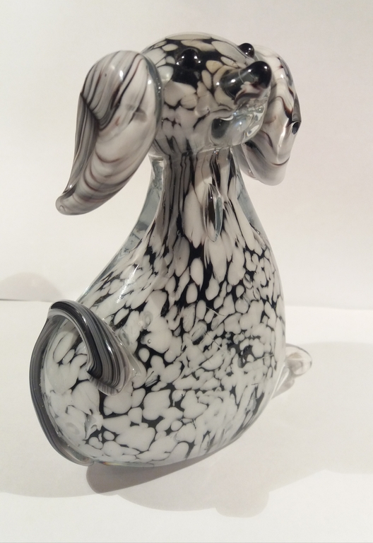 Groot murano dalmatier pup  kopen? Bied vanaf 1!