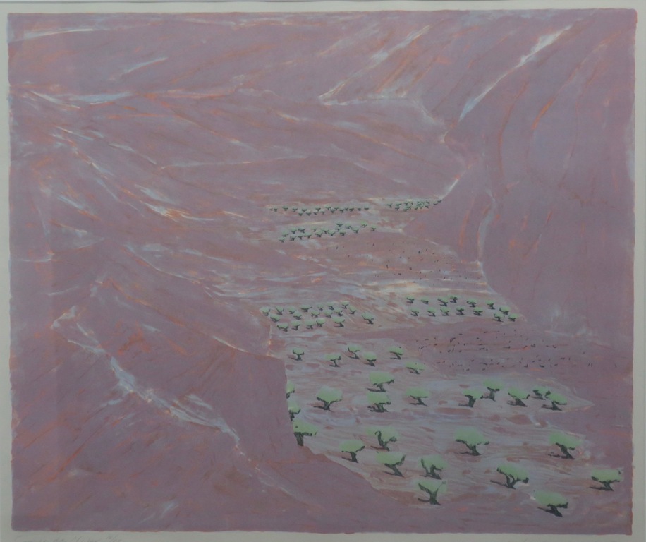 Jan van Rooy: Litho, Campo di Nijar -Ingelijst kopen? Bied vanaf 1!