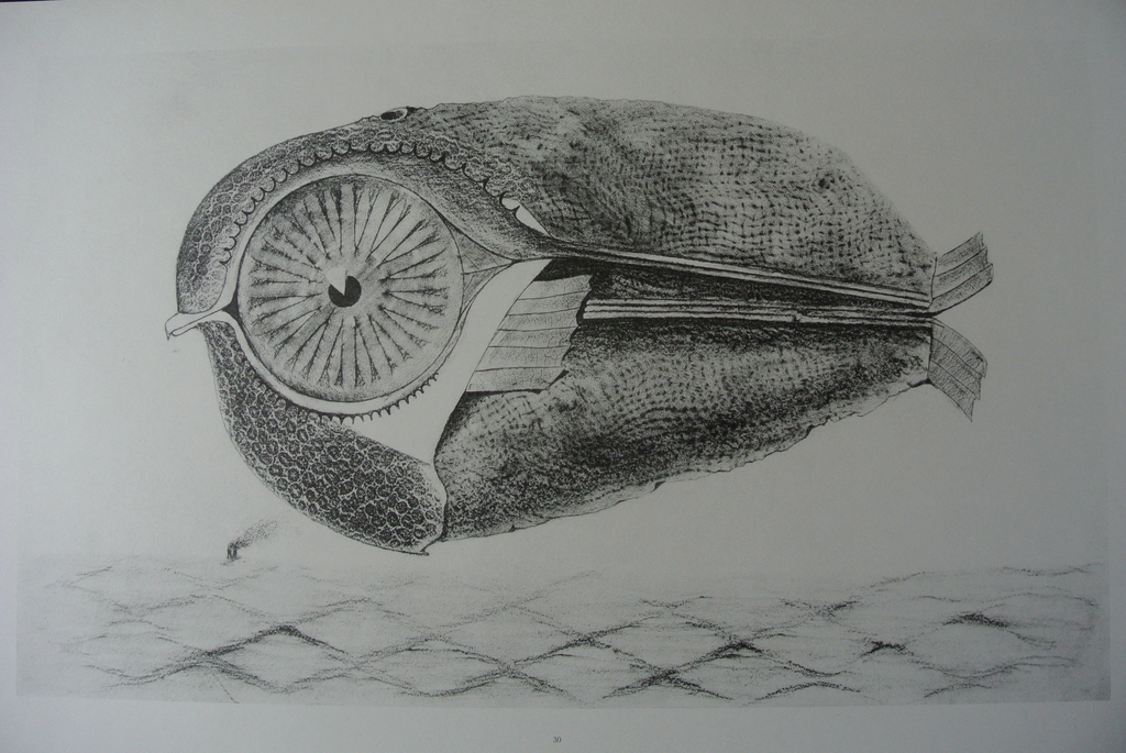 MAX ERNST -Histoire Naturelle- Blad uit de herdruk van de uitgave uit 1926. kopen? Bied vanaf 87!