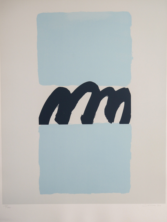 Henk van Vessem kopen? Bied vanaf 20!