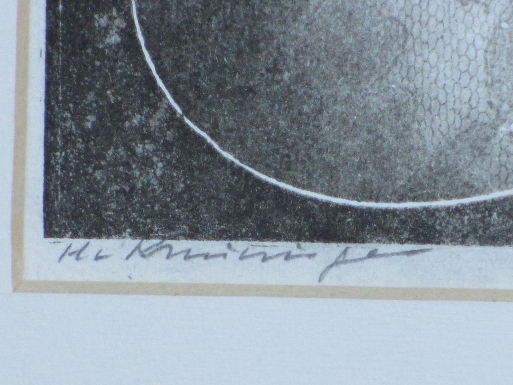 Harry van Kruiningen, Eiwit Moleculen, Kleurets kopen? Bied vanaf 70!