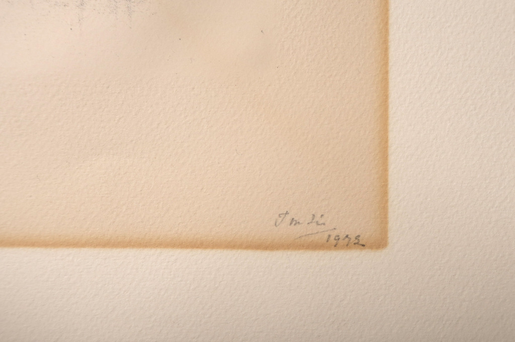 Frans Simons: Litho, Nieuw Amelisweerd kopen? Bied vanaf 1!