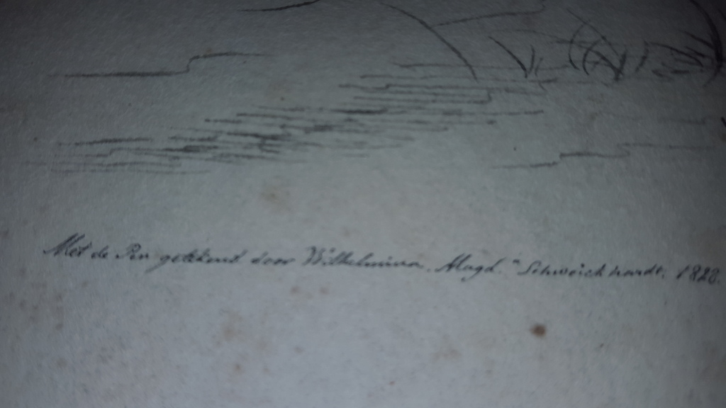 Wilhelmina Schweickhardt (1808-1878) - litho, gesigneerd kopen? Bied vanaf 1!