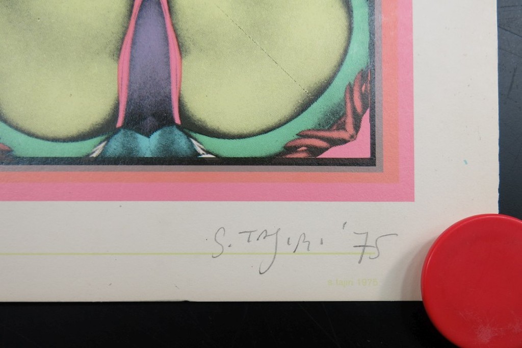 Shinkichi Tajiri: Offset, My Secret Garden No 1 kopen? Bied vanaf 70!