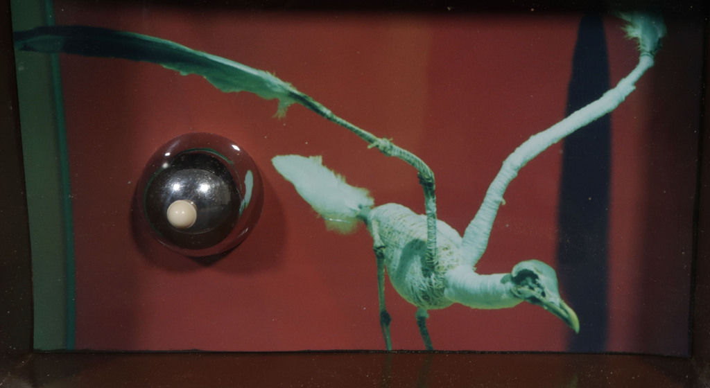 Pamela Schellekens: Gemengde techniek, Z.T. - Ingelijst kopen? Bied vanaf 1!