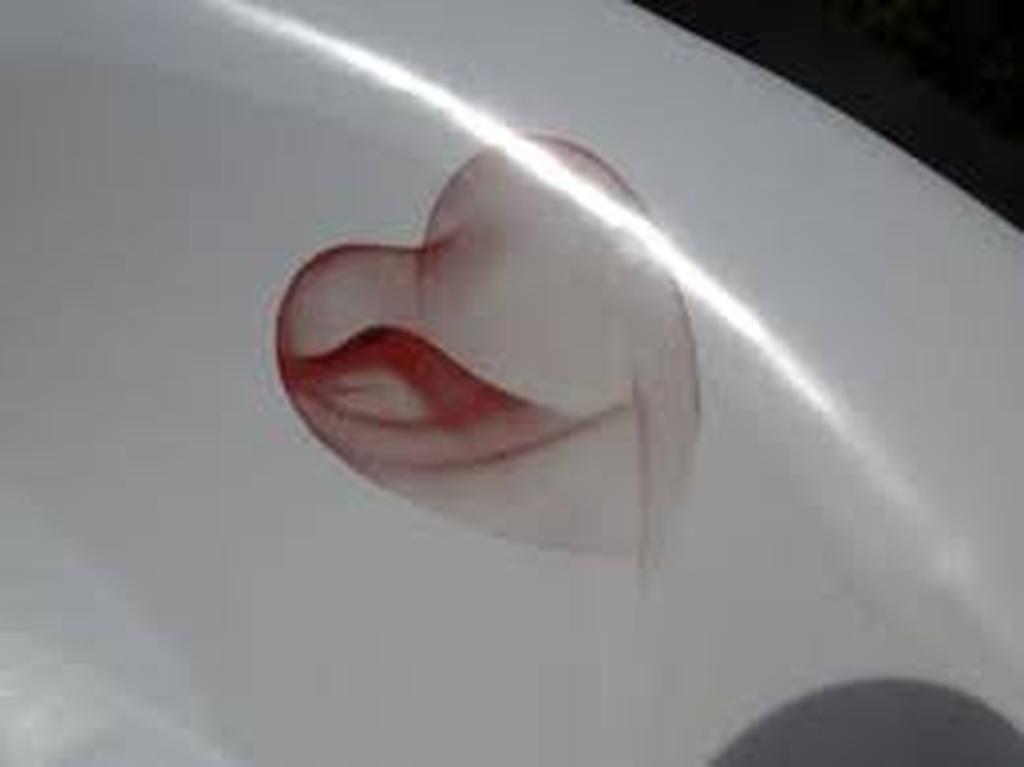 Marcel Wanders: schaal PASSION kopen? Bied vanaf 15!