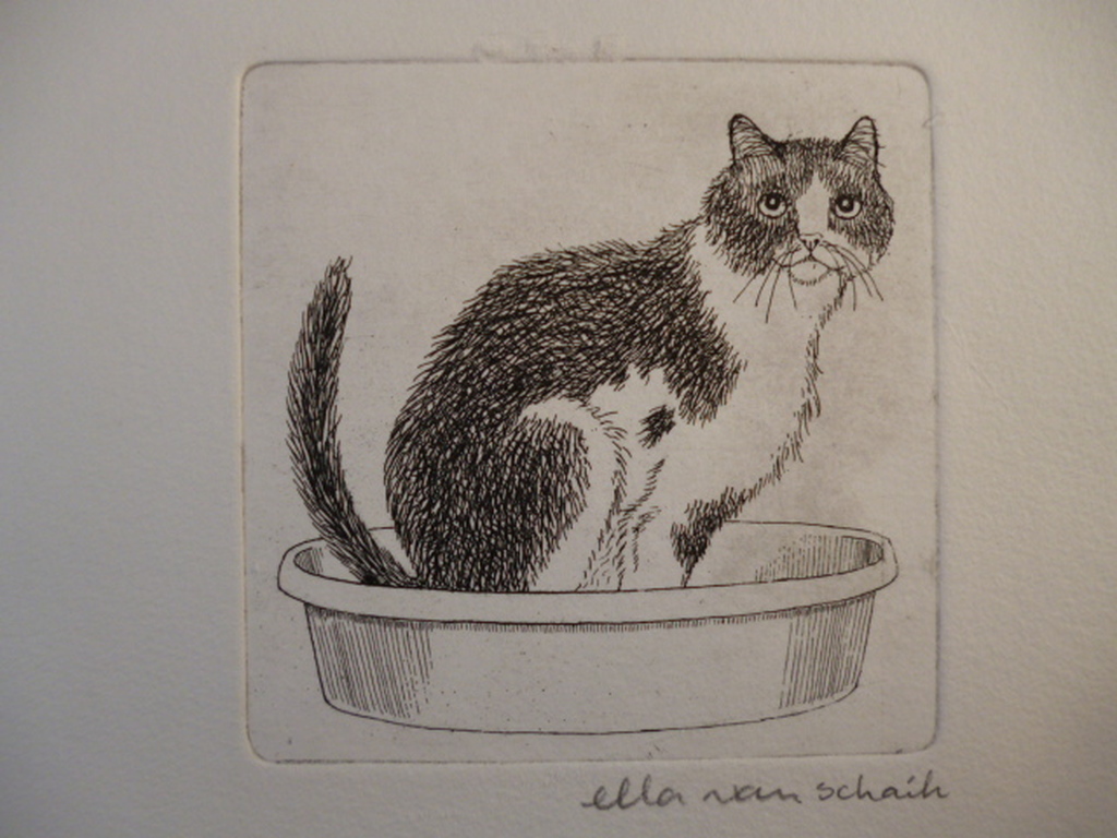 Ella van Schaik - ets - Poes op kattebak kopen? Bied vanaf 25!