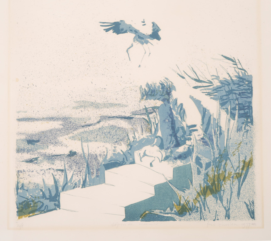 Fred Thoolen: Litho, Slapende meeuw kopen? Bied vanaf 1!