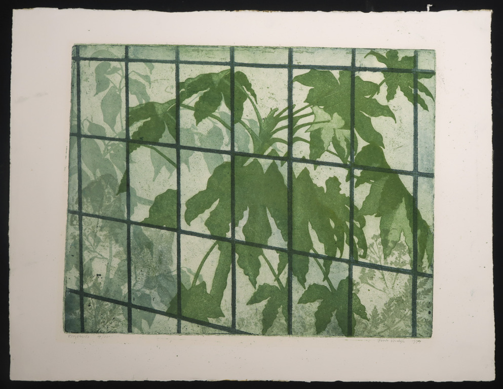 Frank Porcelijn: Ets en aquatint, Refleksies kopen? Bied vanaf 20!