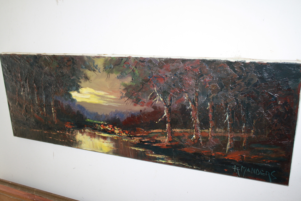 kees MANDERS grootformaat PARK LANDSCHAP verkocht voor € 35!