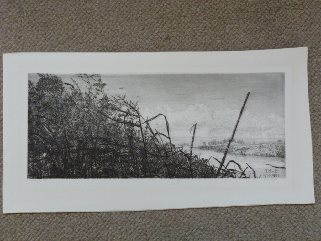 Reinder Homan - ets - Landschap kopen? Bied vanaf 45!