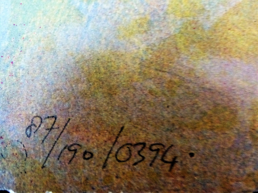 Vanhorck ,Litho op papier,64 x 80,Handgesigneerd kopen? Bied vanaf 40!