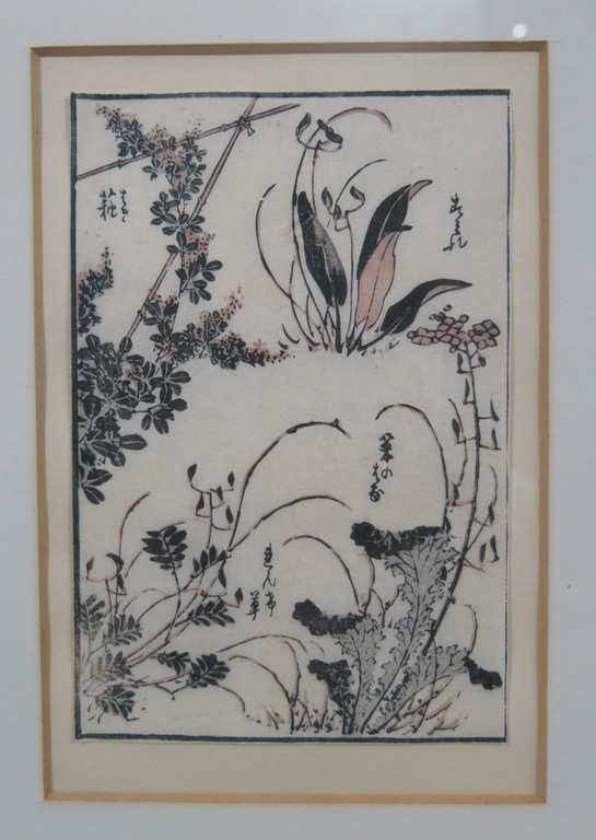 Onbekende kunstenaar: Houtsnede op Japans papier, Studie van planten - Ingelijst kopen? Bied vanaf 10!