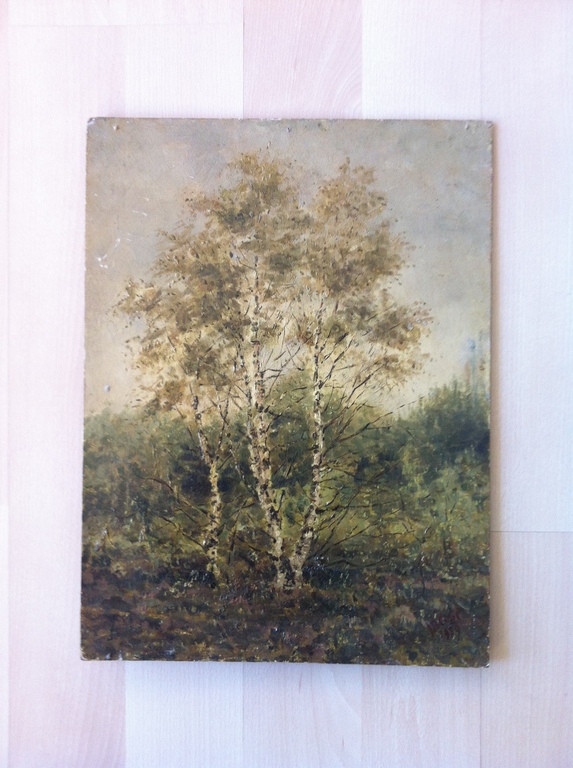 Johannes Baptista Crol, olieverf op board, bos met berkenbomen kopen? Bied vanaf 1!