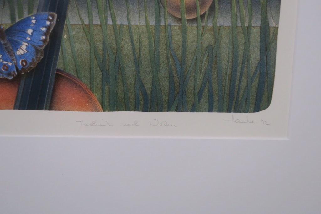 Ernst Hanke. -Wassermusik- Prachtige Litho. Eigen druk 1992. Ingelijst. kopen? Bied vanaf 67!