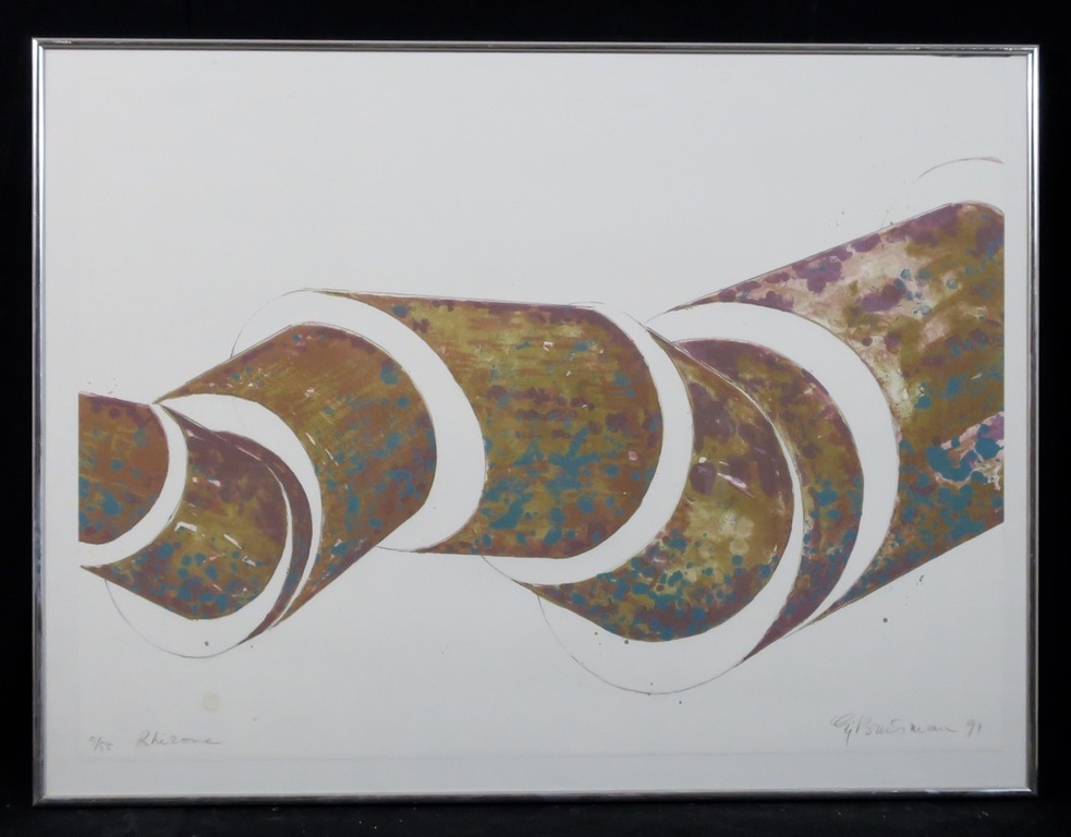 Sjoerd Buisman: Litho, Rhizome - Ingelijst verkocht voor € 50!
