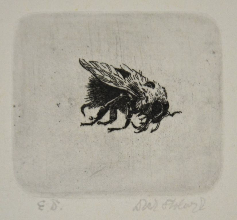 Dick Stolwijk: Ets. Bij kopen? Bied vanaf 20!