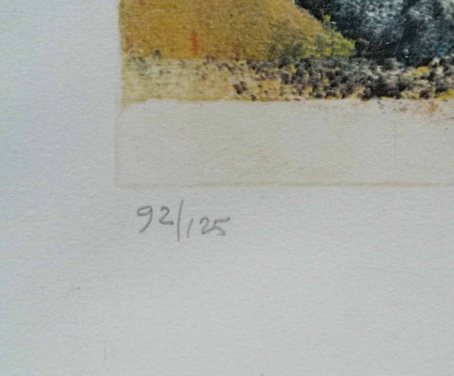 Astrid Engels - zeefdruk - GROOT kopen? Bied vanaf 120!