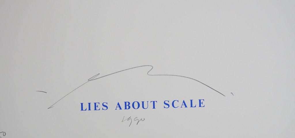 Pieter Engels: Zeefdruk, Lies about scale kopen? Bied vanaf 1!