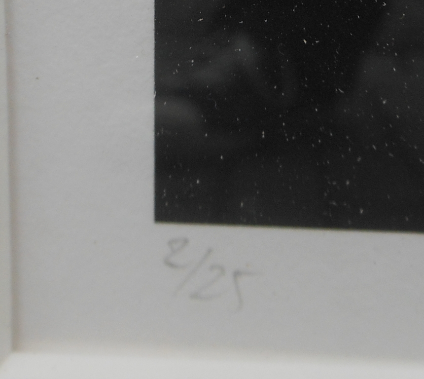 Buy Paul Versteeg - Paul Versteeg: foto, Fusie? Bid from 25!
