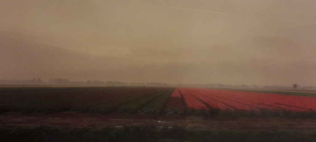 L Creyghton , Ingelijste foto ,  kopen? Bied vanaf 75!