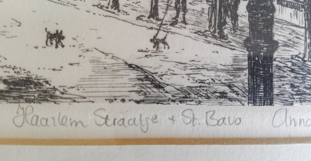 Anna Doedijns: Lijnets, Haarlemstraatje en St. Bavo kopen? Bied vanaf 1!