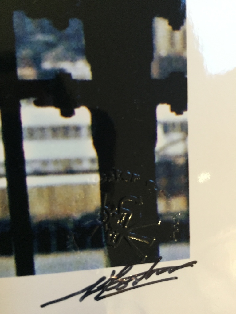 NICO KOSTER De CoBrA Fotograaf  KAREL APPEL in NEW YORK kopen? Bied vanaf 1!