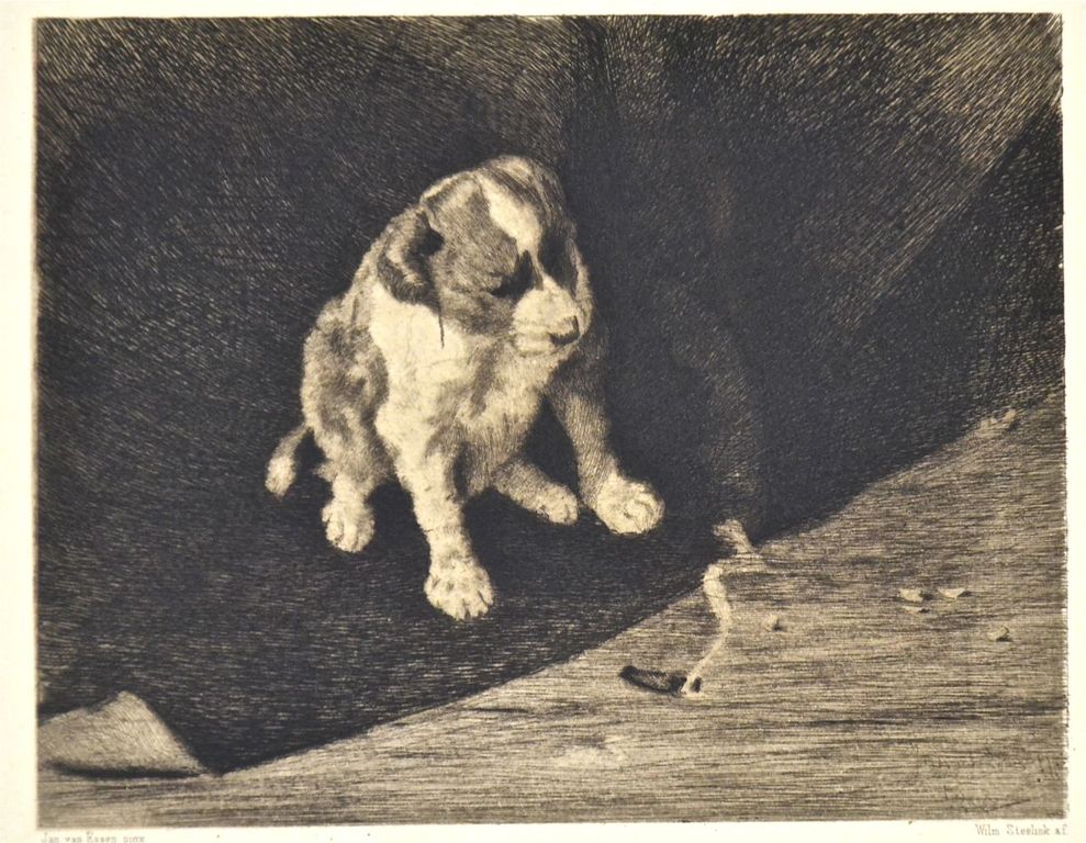 Willem Steelink: Ets. Une Question Brulante kopen? Bied vanaf 1!