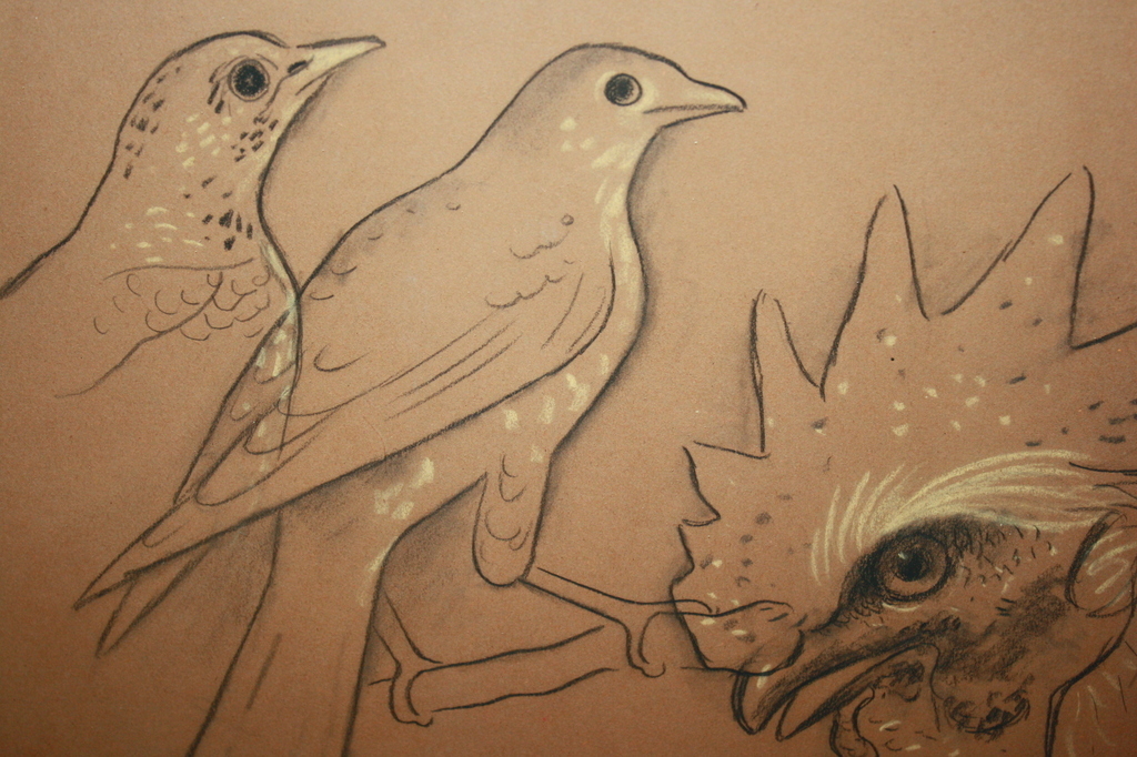 H. J. van PIGGELEN. -Haan en lijsters- Fraaie Pasteltekening. Gesigneerd. verkocht voor € 50!