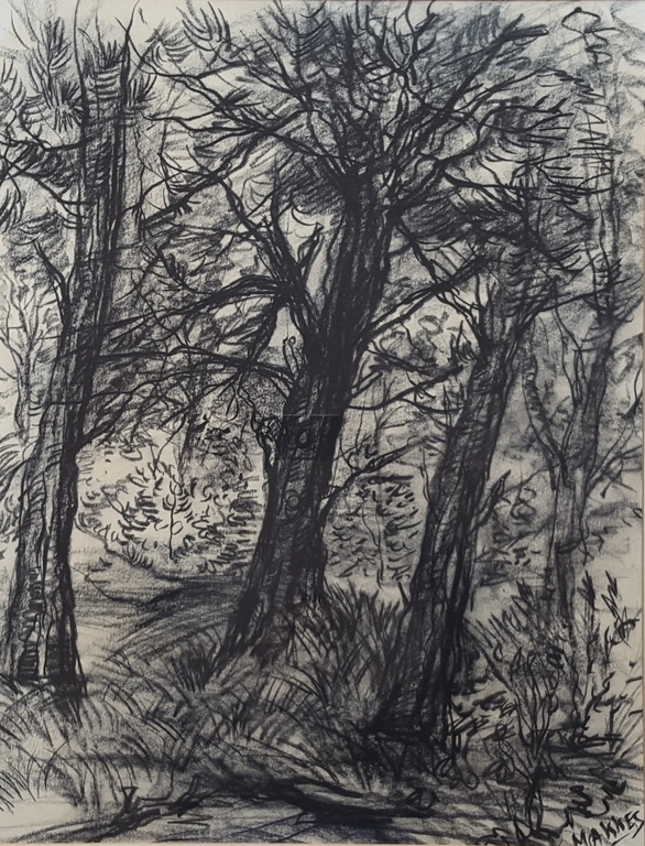 Jan Makkes - Tekening bosgezicht, gesigneerd r.o. kopen? Bied vanaf 25!