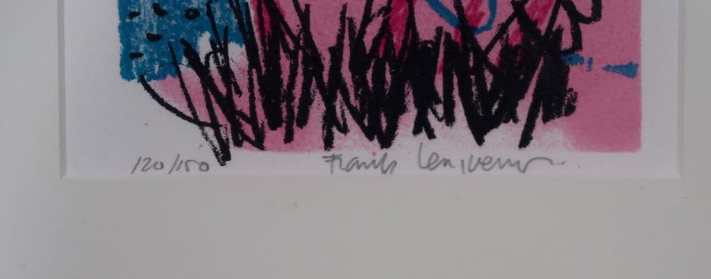 Frank Lengvenius: Zeefdruk - 4 in 1, Birds - Ingelijst kopen? Bied vanaf 35!