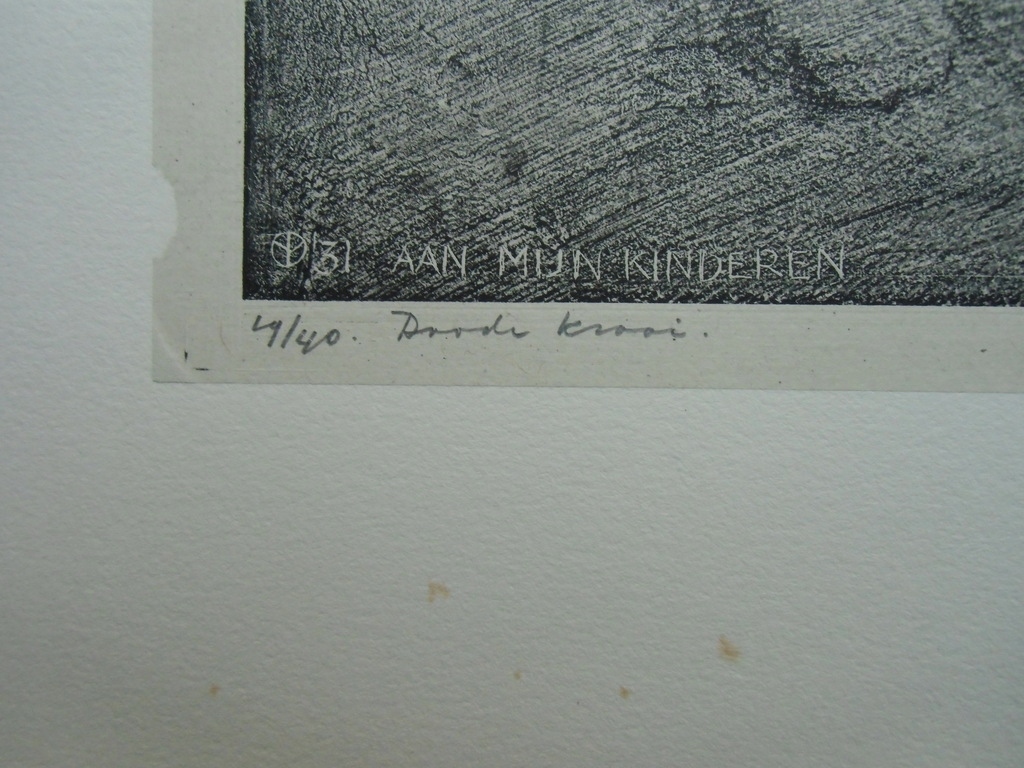 DOODE KRAAI   ///   LITHO/CHINE COLLÉ VAN AART VAN DOBBENBURGH kopen? Bied vanaf 40!