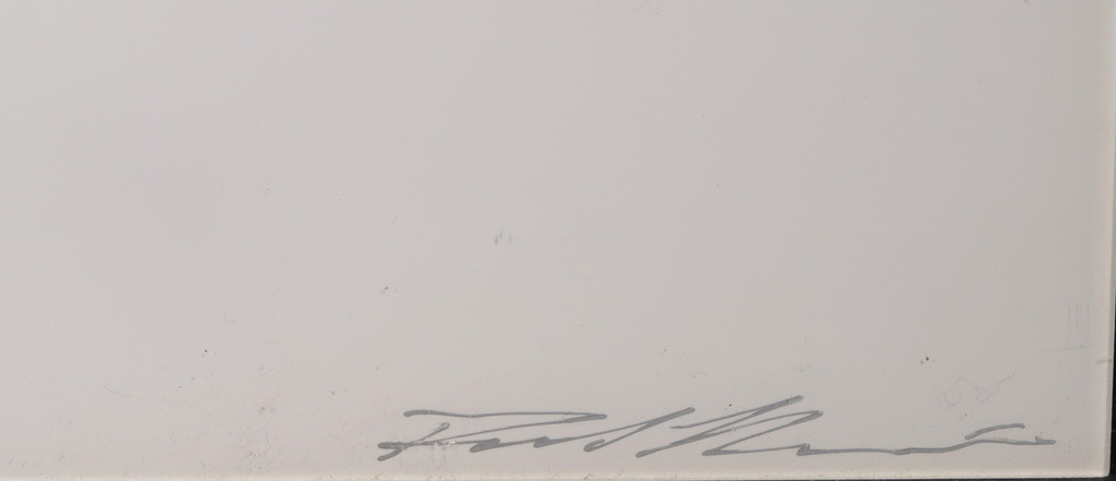 Paul Blanca: Foto op dibond, Voeten kopen? Bied vanaf 135!