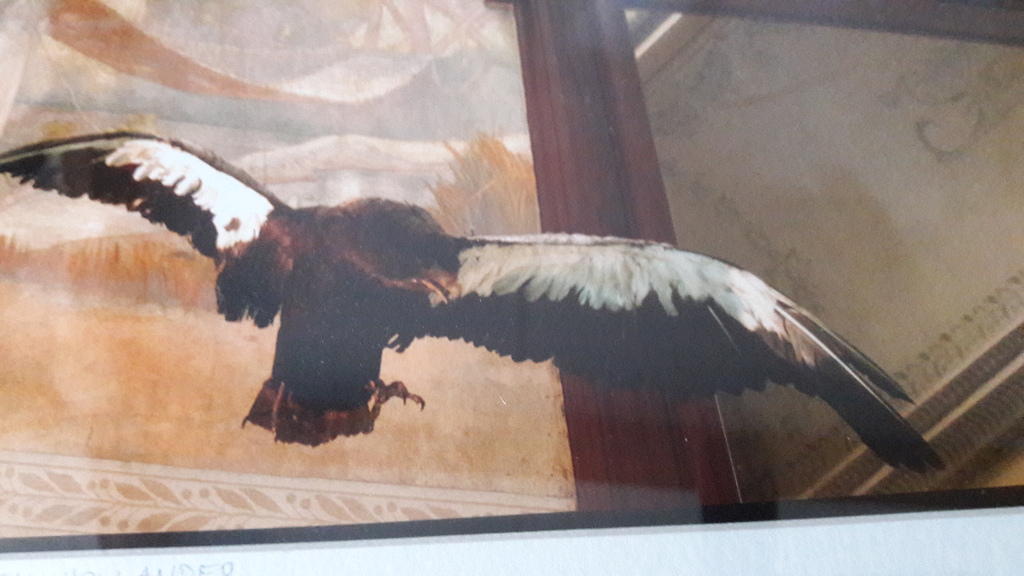 Paul den Hollander,  fotografie kopen? Bied vanaf 50!