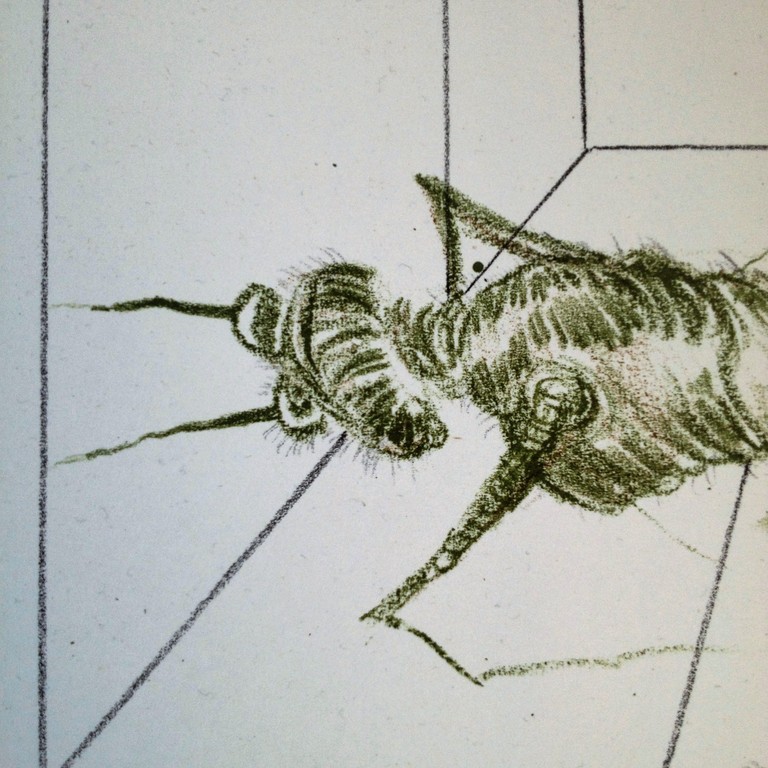 Alain Teister : Kleurenlitho , zonder titel naar mierengedicht Remco Campert kopen? Bied vanaf 1!