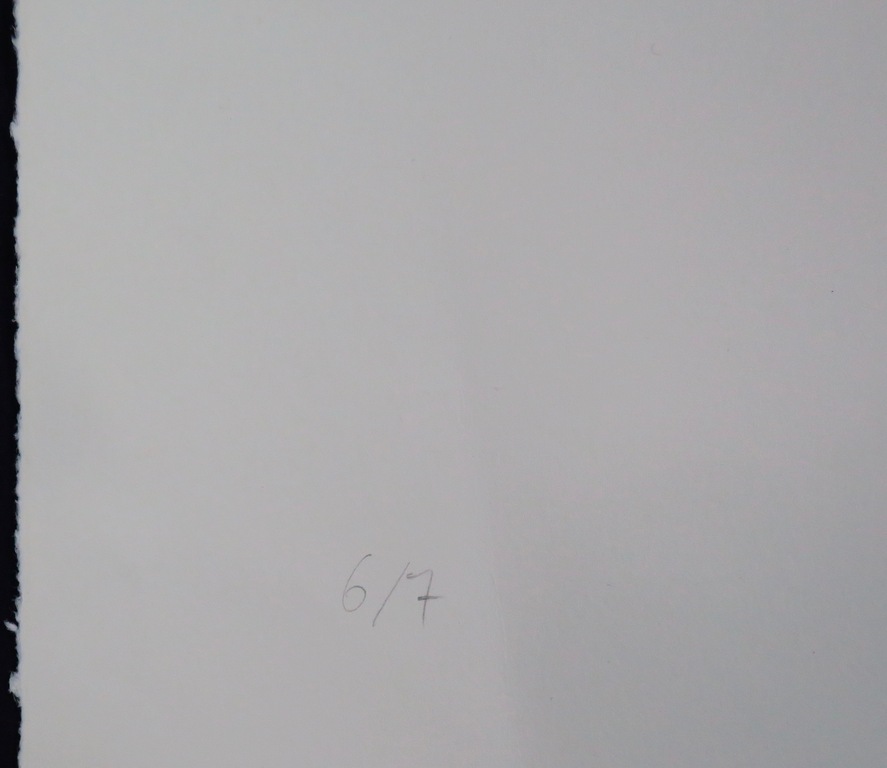 Judith Stolker: Sjabloondruk, Stilleven met Vaas kopen? Bied vanaf 1!