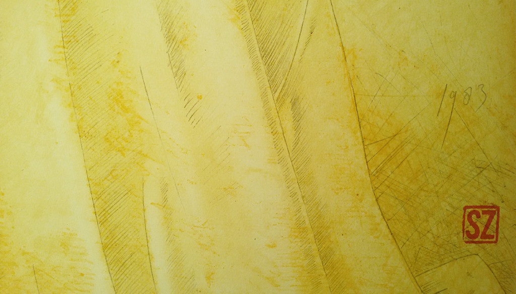 Siet Zuyderland - Chinees stilleven, litho kopen? Bied vanaf 75!