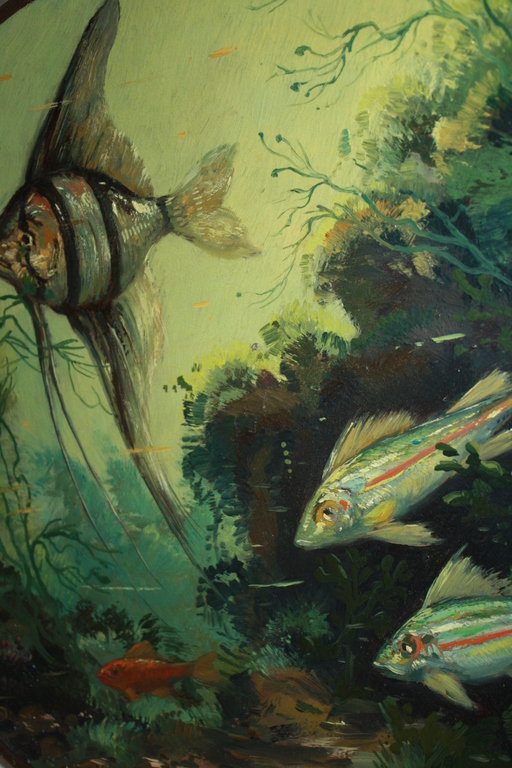 Jaques van Rossum - MAANVIS in AQUARIUM kopen? Bied vanaf 48!