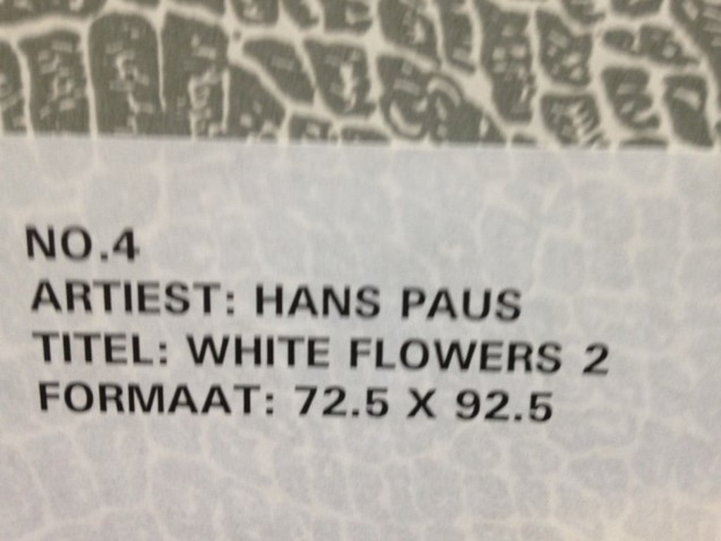 Hans Paus (1959), Giclee, White flowers 2 kopen? Bied vanaf 85!