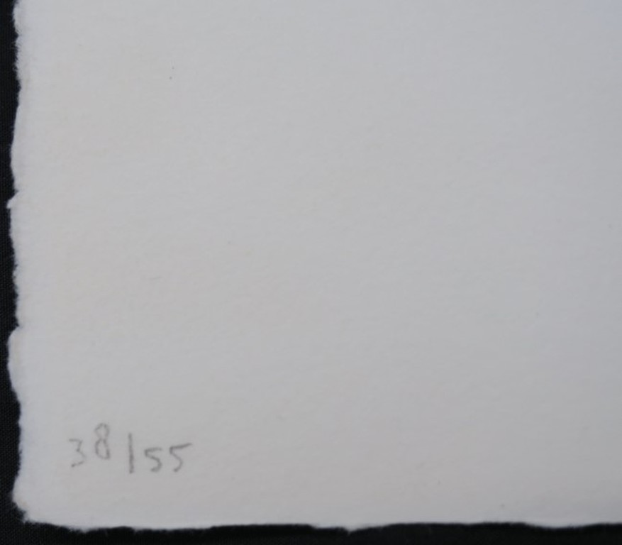 Rinke Nijburg: Ets en litho, the Snake's view kopen? Bied vanaf 1!