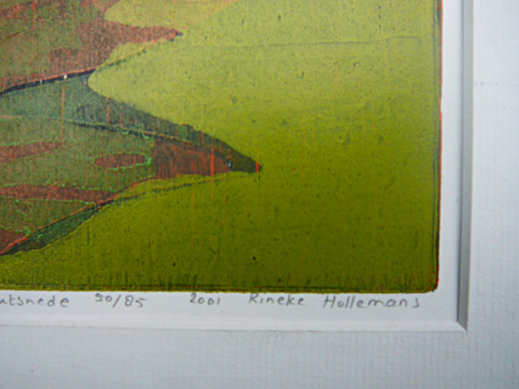 Rineke Hollemans: 'Duinen' -houtdruk 2001- kopen? Bied vanaf 35!